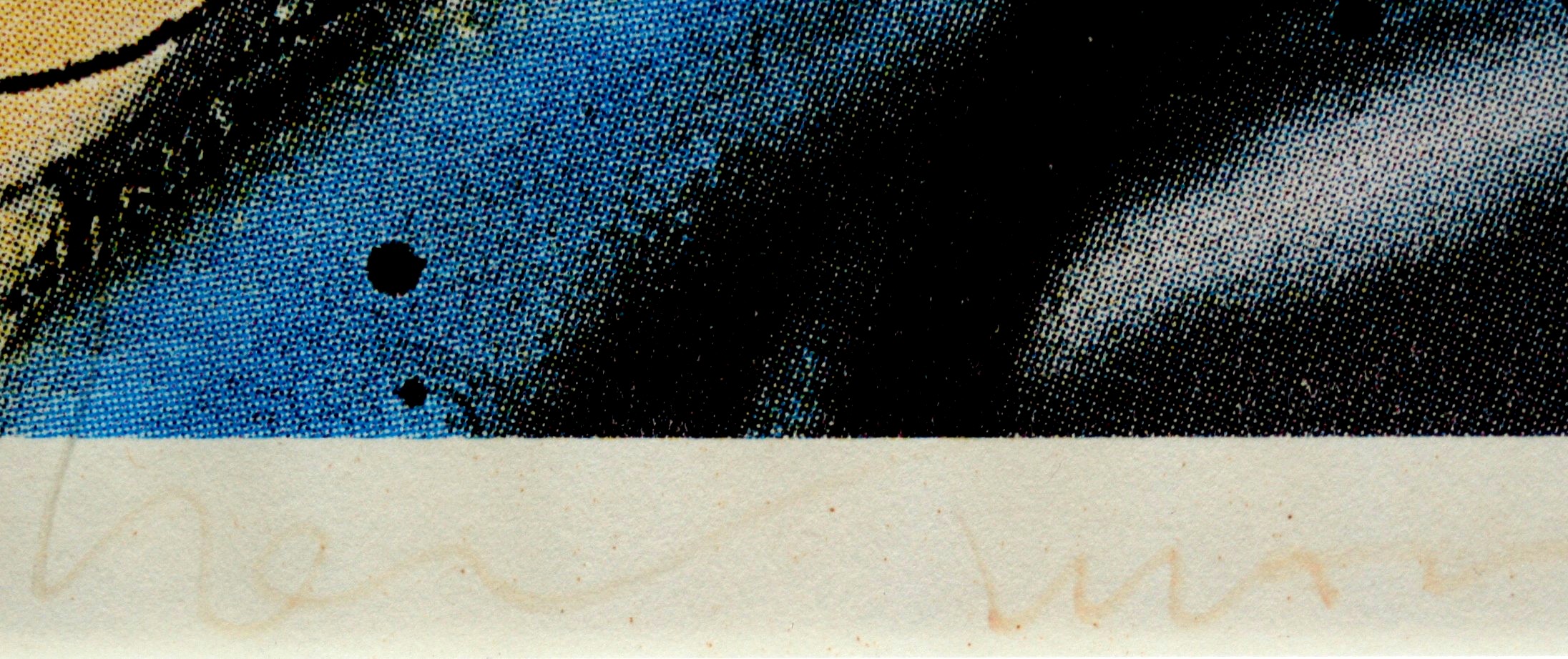 Herman Brood - zeefdruk 1988 - Jet up a rock - gesigneerd kopen? Bied vanaf 205!