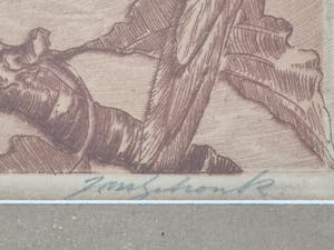 Jan Schonk - Kaketoes kopen? Bied vanaf 50!