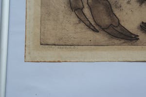 Frans Verpoorten - Noordzeekrab - gesigneerde ets kopen? Bied vanaf 35!