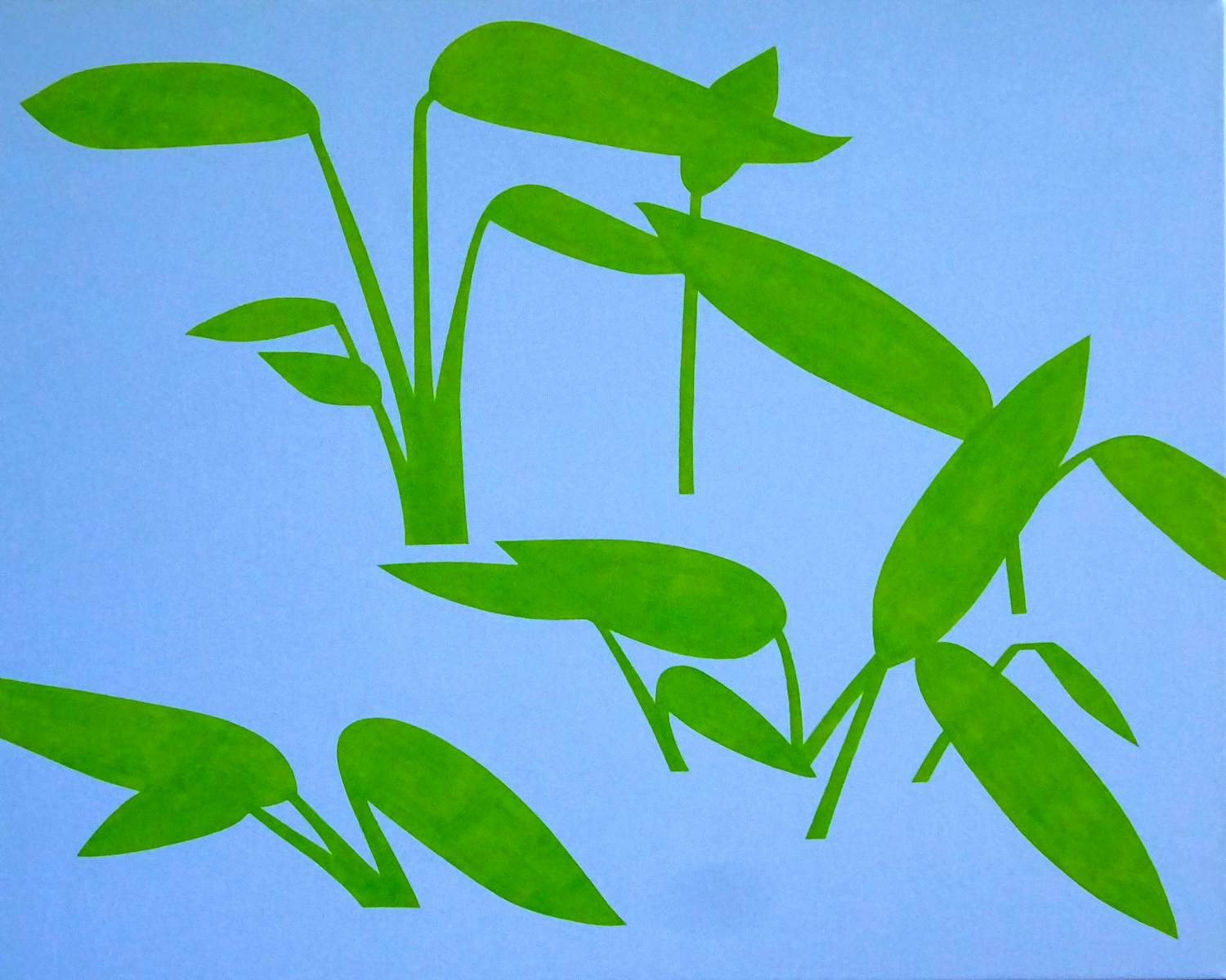 AcheterEd Weyden - waterplant 2015? Enchérissez de 63!
