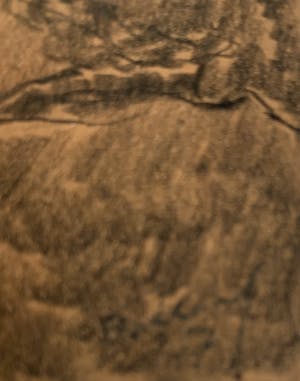 Phocas Fokkens - Personen in café kopen? Bied vanaf 35!