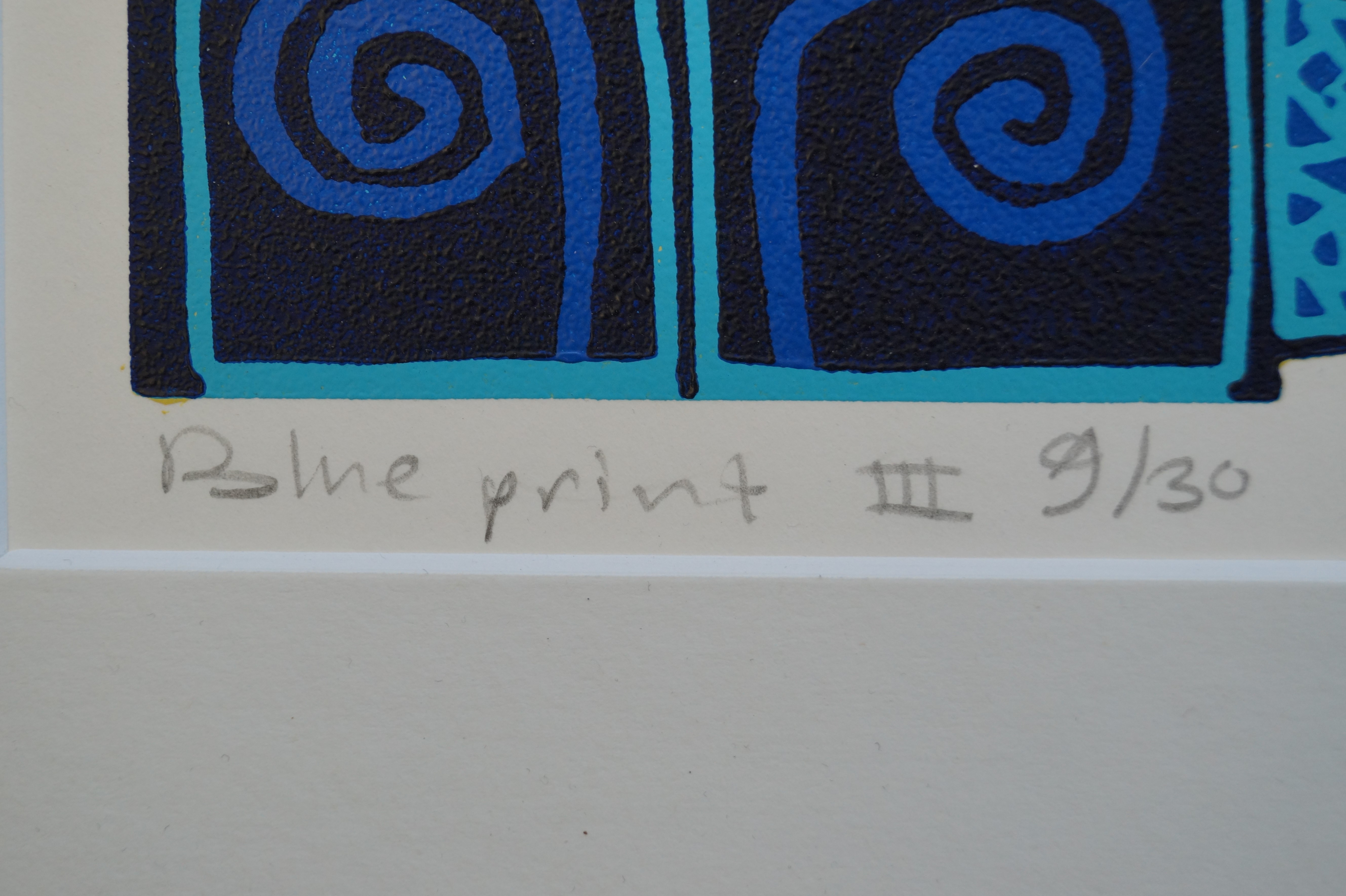 Diana van Hal - Blue Print III kopen? Bied vanaf 25!