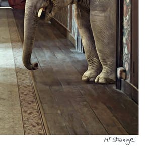 Mr. Strange - Young Maharaja kopen? Bied vanaf 50!