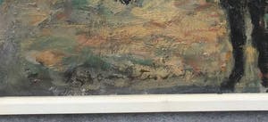 Jan Groenestein - C4574 - Ezeltjes kopen? Bied vanaf 350!