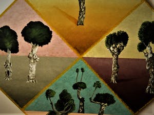 Erna van Mondfrans - GROOT realistisch olieverf "Frankrijk de bomen van Chalabre" gesigneerd kopen? Bied vanaf 20!