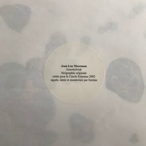 Jean-Luc Moerman - Zeefdruk - Gesigneerd - 'Nanohybride' - 86/150 - 2002 kopen? Bied vanaf 85!