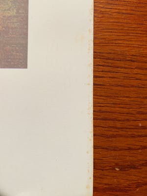 Leonor Fini - La Fille Médiévale kopen? Bied vanaf 25!