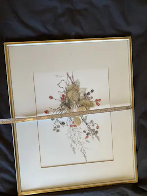 Mary McMurtrie - Botanische aquarel kopen? Bied vanaf 45!