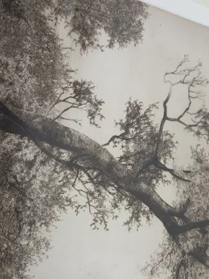 Ernest C. Rost - Waterval kopen? Bied vanaf 30!