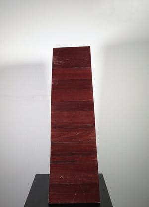 Ditte Langenhorst - Hout, Aandacht (Zwaar) kopen? Bied vanaf 100!