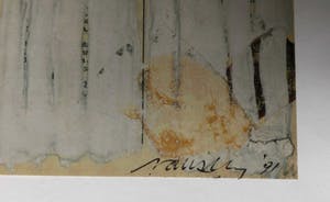 Ad Willemen - Lab van de witte vlekken kopen? Bied vanaf 40!