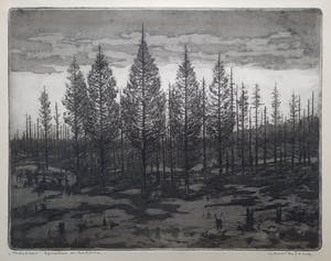 Gerrit de Jong - ets aquatint - Mastbos e.a. - ingelijst - 22167 kopen? Bied vanaf 85!