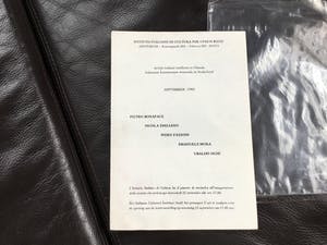 Piero Fassoni - Magenta Haze kopen? Bied vanaf 500!