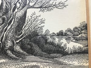 Niet of onleesbaar gesigneerd - Knotwilgen kopen? Bied vanaf 1!