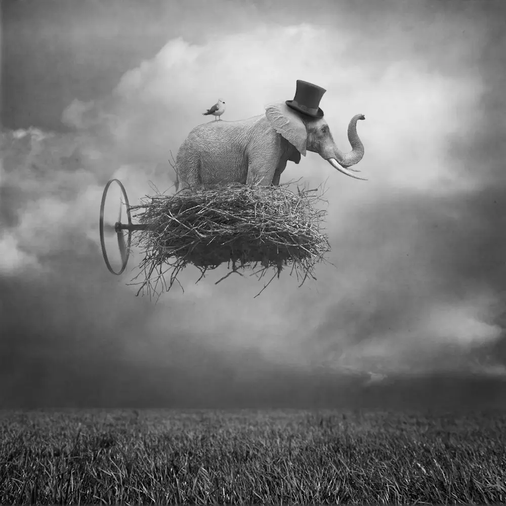 Beata Bieniak (1966)