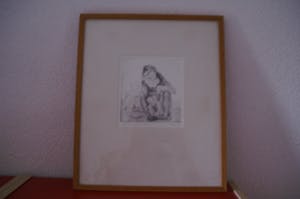 Edwin Kragten - Droge naaldets twee aapjes kopen? Bied vanaf 50!