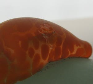 Glasstudio Borowski - Grote groene gesatineerde presse papier met oranje gesatineerde mond kopen? Bied vanaf 30!