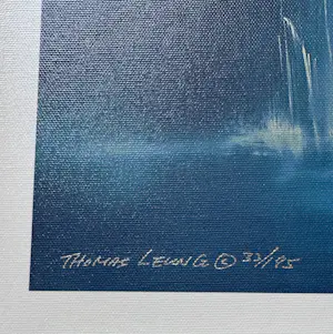 Thomas Leung - Mystic Falls kopen? Bied vanaf 65!