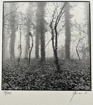 Ralph Janowski - 2x zeefdruk kopen? Bied vanaf 32!