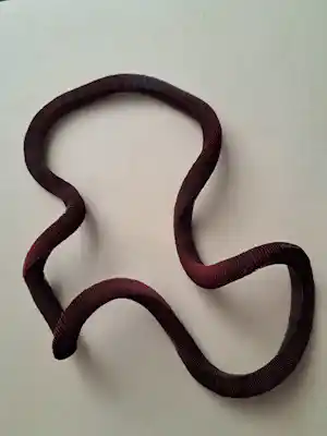 Nel Linssen - collier verkauft für € 340!