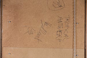 Jan Bollaert - Acryl op papier, Tropical Antwerp - Ingelijst (Groot) kopen? Bied vanaf 50!