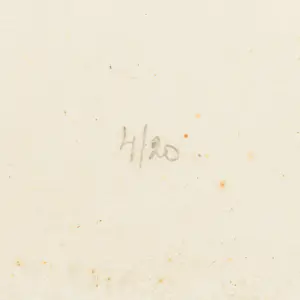 Jef Diederen - Omgehakte bomen kopen? Bied vanaf 100!