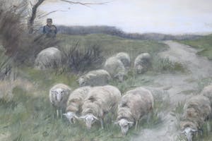 Willem Steelink (jr.) - Schaapsherder met z'n kudde kopen? Bied vanaf 180!