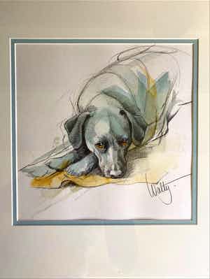 Walty Dudok van Heel - Labrador verkocht voor € 50!