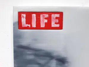 Erwin van Krey - Life kaufen? Bieten Sie von 250!