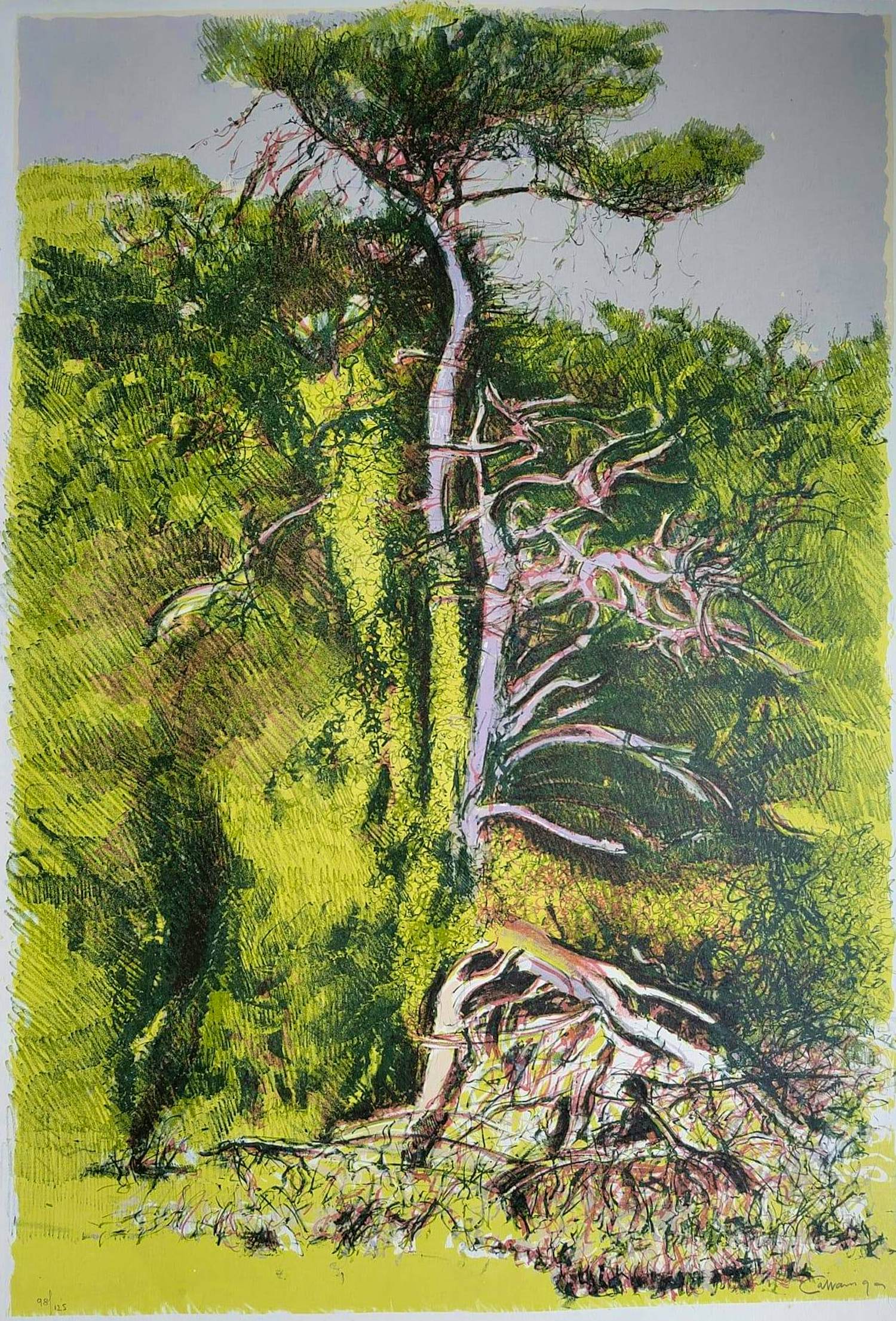 Giancarlo Cazzaniga - Technique mixte 1997 – Sérigraphie & eau-forte – 70×50 cm – Signée & numérotée kopen? Bied vanaf 190!