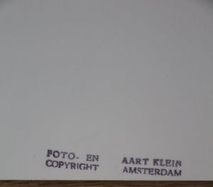 Aart Klein - Silverprint: vogel boven water kopen? Bied vanaf 49!