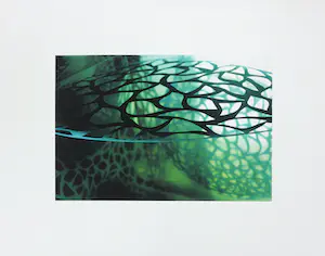 AcheterHiroe Okubo - Zeefdruk, Shading Fragment VI? Enchérissez de 50!
