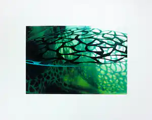 Hiroe Okubo - Zeefdruk, Shading Fragment VI verkocht voor € 50!
