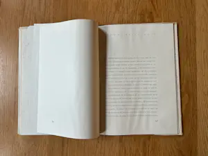 Robert Franquinet - Palet in het Zuiden kopen? Bied vanaf 20!