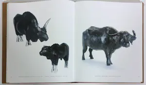 Hetty Heyster - Brons, Gayal kalf kopen? Bied vanaf 500!