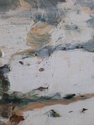 Irene van den Bos - It Waad/Frysk Lanskip kopen? Bied vanaf 75!