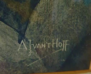 Adriaan van 't Hoff - zilverreiger kopen? Bied vanaf 75!