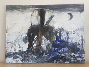 Sam Dillemans - No Man's Land kopen? Bied vanaf 19000!