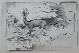 Floris Tiele - 9x diertekening van reeën kopen? Bied vanaf 39!