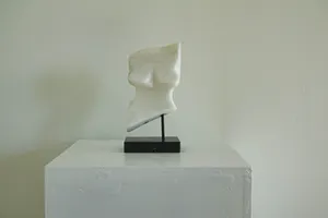 Niet of onleesbaar gesigneerd - Zonder titel kopen? Bied vanaf 1!