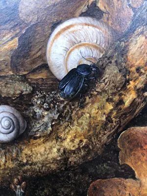 Hans van Wijk - Stilleven op boomstronk. kopen? Bied vanaf 450!