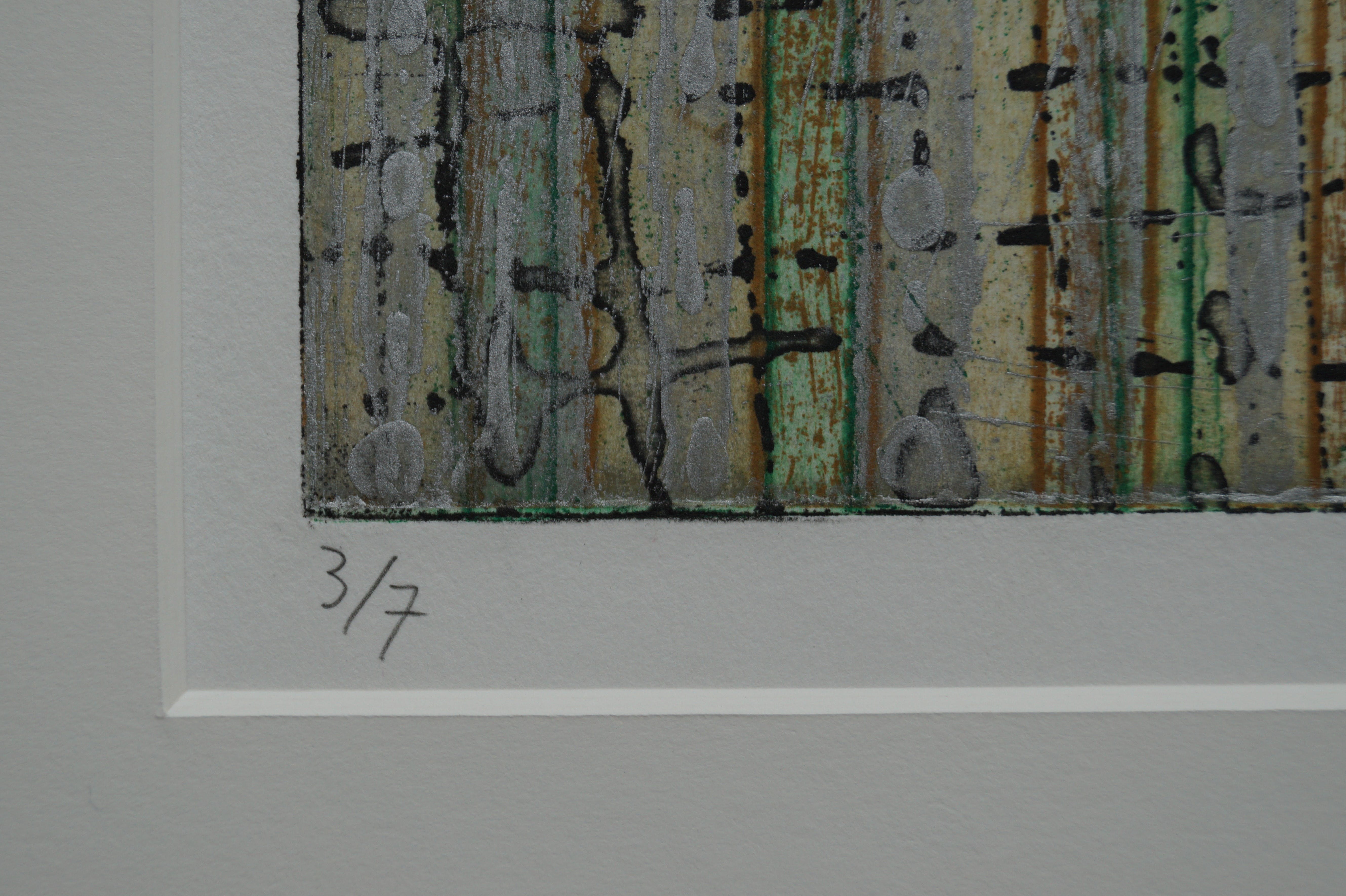 Evelyn Snoek - gesigneerde ets - 2005 kopen? Bied vanaf 20!