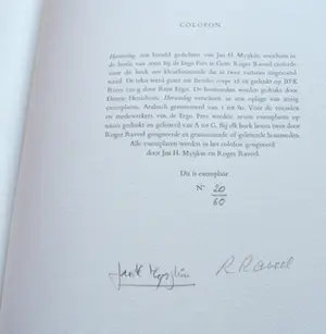 Roger Raveel - "Hersenslag" kopen? Bied vanaf 950!