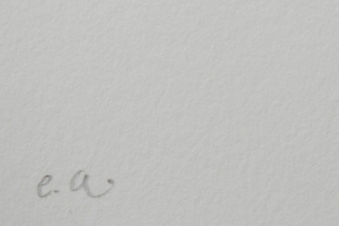 Armando - Der Baum kopen? Bied vanaf 1!