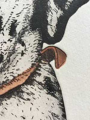 Arja van den Berg - Ets, Hondje hand gesigneerd 14/20 kopen? Bied vanaf 35!