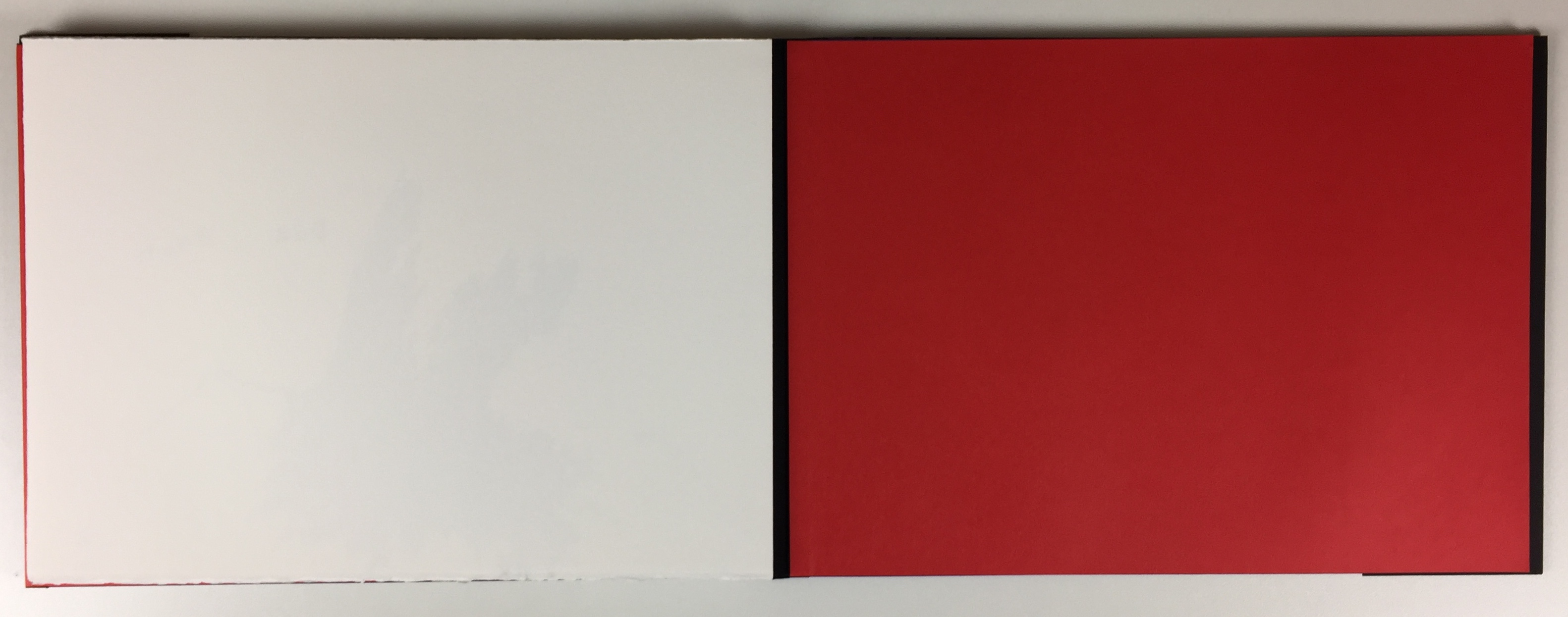 Armando - Portfolio Stichting de Roos, 'Zichzelf', incl. twee litho's 2013 (ZELDZAAM) kopen? Bied vanaf 425!