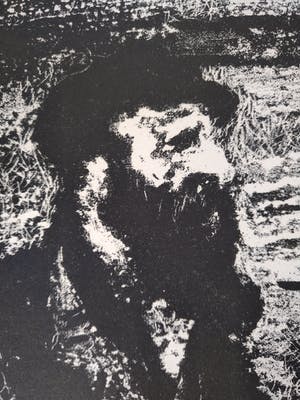 Anatoli Lvovich Kaplan - sholem_aleichem__tevye_the_dairyman kopen? Bied vanaf 100!