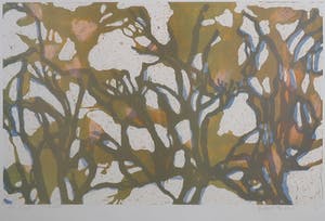 Judith ten Bosch - Lithografie, Groei - ingelijst kopen? Bied vanaf 1!