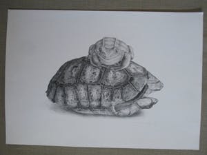 Armando Cairo - Litho "Schild met pad" kleine oplage kopen? Bied vanaf 35!