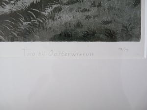 Wim Bettenhausen - TERP BIJ OOSTERWIERUM kopen? Bied vanaf 115!